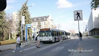 Bus Observations of Winnipeg Manitoba Canada🍁 October 2023 [upl. by Aninep]