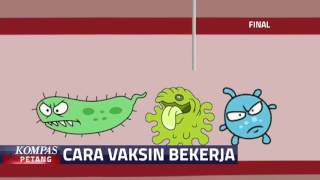 Beginilah Cara Kerja Vaksin [upl. by Arlee638]