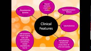 Pediatrics  Inborn Error of Metabolism الأطفال [upl. by Nicodemus]