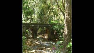 Hanthana Mountain  Mahaweli River  Peradeniya Sarasaviya [upl. by Essenaj]