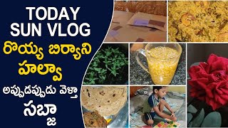 Today Sun Vlog  రొయ్య బిర్యాని 🥕 హల్వా  అప్పుడప్పుడు వెళ్తా  రిత్విక్ 👌గా తయారు చేసాడు  సబ్జా🥛 [upl. by Kcirdle]