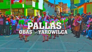 Pallas de Obas Yarowilca 2024 [upl. by Ardnasela]