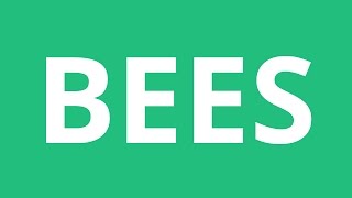 How To Pronounce Bees  Pronunciation Academy [upl. by Gwenette451]