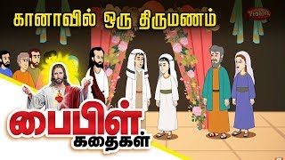 Jesus Turns Water Into Wine Story  Bible Stories in Tamil  Miracles of Jesus Christ [upl. by Nalor971]