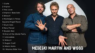 The Very Best of Medeski Martin and Wood Full Album [upl. by Enimassej]