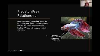 Biology 112 Protostomes Video Presentation [upl. by Quickel]