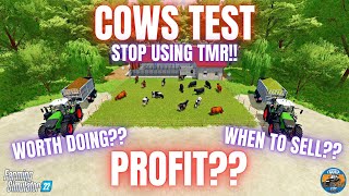 COWS TEST  Farming Simulator 22 [upl. by Ty]