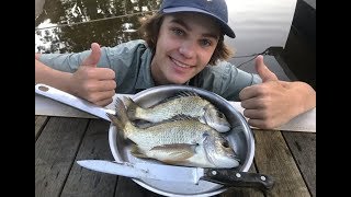 MONSTER Bream  Catch n Cook [upl. by Yra]