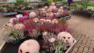 Dobbies Halloween display [upl. by Terrene]