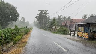 Heavy Rain and Strong Winds for Long Time in Village Life  Rain Sounds Introduction Sleeping [upl. by Weixel]