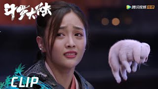 EP40 Clip 小舞魂兽身份暴露，唐三真情表白【斗罗大陆 Douluo Continent】 [upl. by Tecu521]