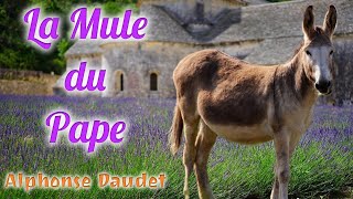 Livre audio  La Mule du Pape Alphonse Daudet [upl. by Sukhum458]