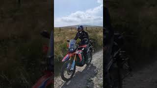 HONDA CRF 250 RALLY [upl. by Droflim888]