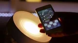 PHILIPS Indirecte verlichting  Luminaire  Productvideo Vandenborrebe [upl. by Macintyre72]