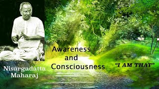 Nisargadatta Maharaj  I Am That  Item 11 Awareness And Consciousness Eternal And Relative [upl. by Knowland]