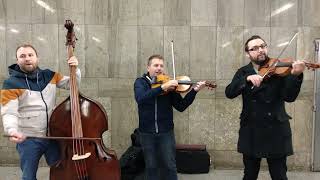 Brněnský Čárový Orchestr Rigo BČO  Busking  Brno [upl. by Gaye]