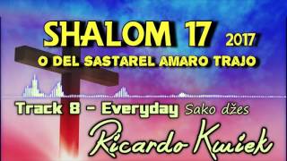 Ricardo Kwiek 2017  Track 8 Everyday [upl. by Thea885]