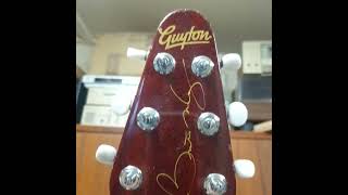 Guyton Red Special guitar [upl. by Alitta714]