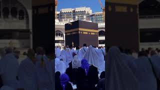 Labbaik ya Rasool Allah live allah love automo loveallah islamicvideo duet butterfly song [upl. by Fogarty124]