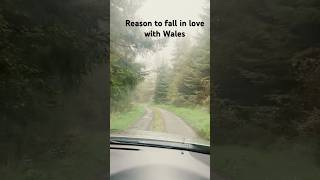 Drive through Snowdonia Wales [upl. by Dahc655]