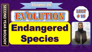 Biology Chapter 24 Evolution lecture No16 Factors affecting gene frequency [upl. by Kcitrap782]