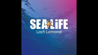 Sea Life Centre  Loch Lomond  Balloch  Scotland [upl. by Ainotal531]