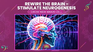 Rewire The Brain  Stimulate Neurogenesis  Grow New Brain Cell  Alpha Waves Relaxation [upl. by Bender]