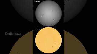 A Month of Solar Rotation Captured by a DSLR Camera shorts [upl. by Mariquilla]