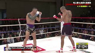 Dave Leduc Vs Adem Yilmaz  Tokyo Japan 🇯🇵 Highlight 1842017 [upl. by Carroll]