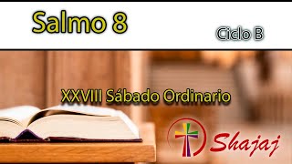 Salmo 8Sábado 19 de Octubre ¡Qué admirable Señor es tu poder  CicloB  SHAJAJ [upl. by Carmita508]