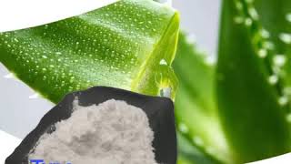 aloe vera freeze dried powder [upl. by Vaenfila]