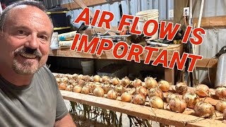 How to dry onions fresh from garden [upl. by Melina712]