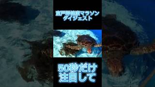 【見るべき！】人生で一度は室戸に行こう shorts 室戸岬健康マラソン 室戸岬 マラソン サブ4 サブ3 [upl. by Nortna]