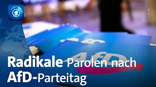 Bayerns Staatsschutz ermittelt nach Vorfall am Rande von AfDParteitag [upl. by Hadeehuat]