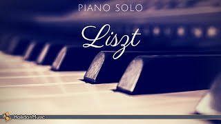 Liszt  Piano Solo [upl. by Gnues]