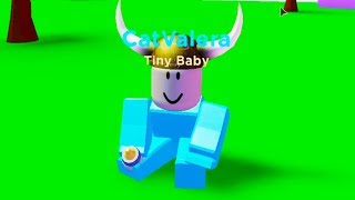 СИМУЛЯТОР РЕБЕНКА в РОБЛОКС Baby Simulator Roblox [upl. by Dnamra]