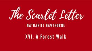 Scarlet Letter  Chapter 16 Audiobook [upl. by Bilski]