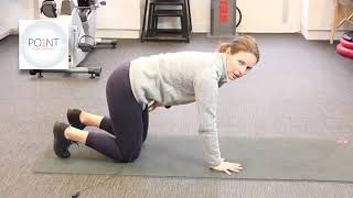 Shoulder Stabilization and Core Warmup Exercise [upl. by Name358]