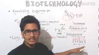 Tools for recombinant DNA technologyRestriction endonucleases amp exonuclease [upl. by Rhodes]