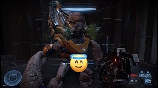 Halo Infinite Campaign Friendly Grunt [upl. by Nirac]