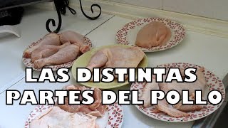 PARTES DEL POLLOIdeas para preparar pollo [upl. by Hammond]