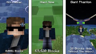 Minecraft Mobs And Their Size [upl. by Acessej]