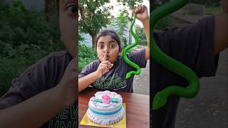 I dont like SNAKE on the CAKE 🐍🎂😱TomampJerry 🤣DiyaIshwarya shorts viralvideo [upl. by Ardnic496]