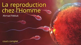 2ndes Bilan 2 Fonctionnement de l’appareil reproducteur masculin et l’origine du sexe biologique [upl. by Reklaw]