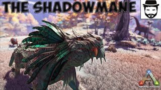 How To Tame The Shadowmane A Complete Guide [upl. by Leff]