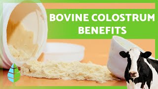 BOVINE COLOSTRUM 🥛🐮 12 Health Benefits You Need to Know [upl. by Irabaj]