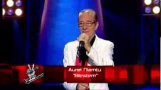 Auditii pe nevazute  Prima Editie  Aurel Niamtu  Vocea Romaniei 2013 S3 [upl. by Enyawad407]