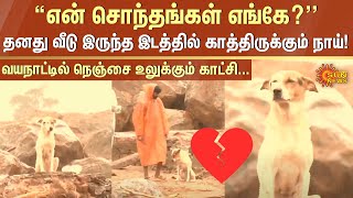 Wayanad Landslide  💔Dog’s Heart Broken Moment  Kerala Flood  Kerala  Wayanad Flood  Sun News [upl. by Norrabal612]