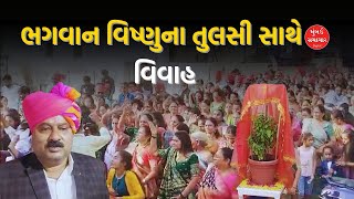 Ahmedabad  પૂર્વ વિસ્તારમાં કરાયું તુલસી વિવાહનું ભવ્ય આયોજન  Mumbai Samachar [upl. by Grantland944]