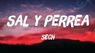 Sal y Perrea  Sech Lyrics Video 💟 [upl. by Nanny998]